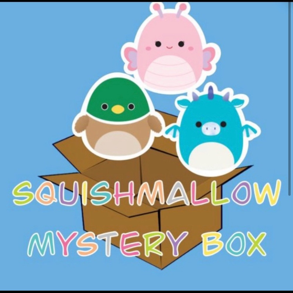 Mystery box squishmallow